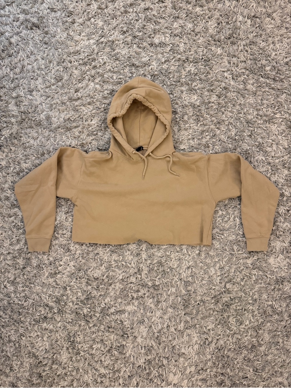 Cropped Hooded Sweatshirt in Beige